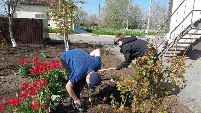 b98704de-82f7-4d94-a4f8-679c2bf309f6