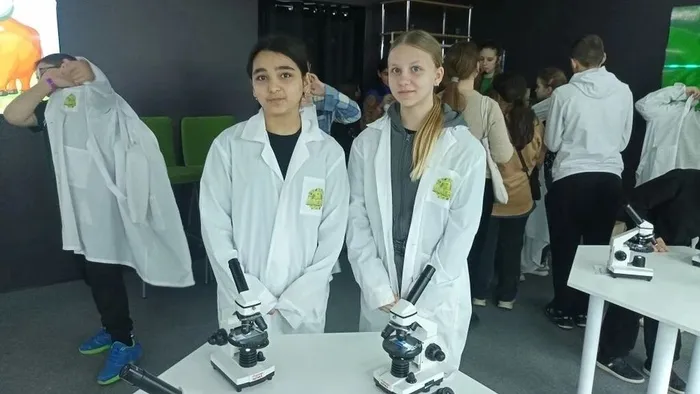 33728dae-c396-4466-af35-0c657264653c