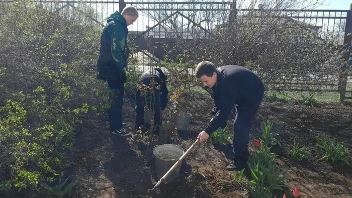 305d7e3e-ab1c-4ec5-9964-c3dea3b6df1d