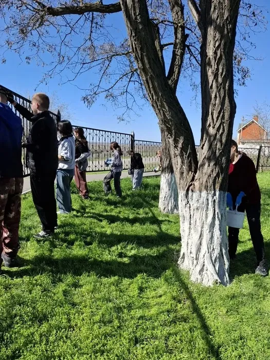 a5de393e-7f7e-452f-b862-2e205e6772be