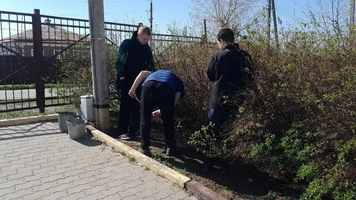 c3ff2429-e4bb-4590-a28a-7d4c0ba817d9