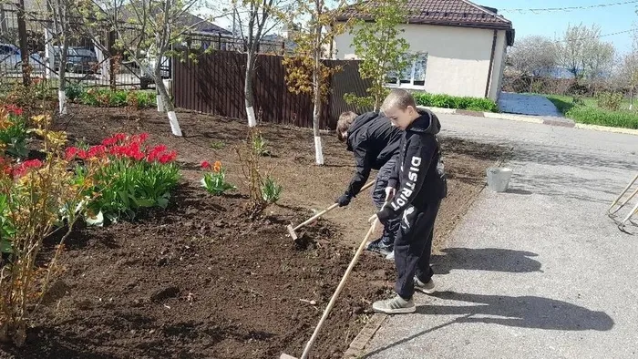 28e95701-f9b7-4c12-b26c-cbff73f9ca90