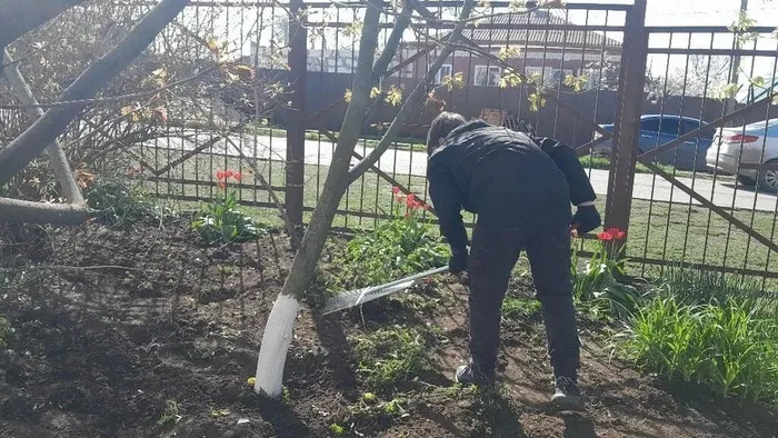 0abc214f-eb07-4844-b25e-f32168ff3341